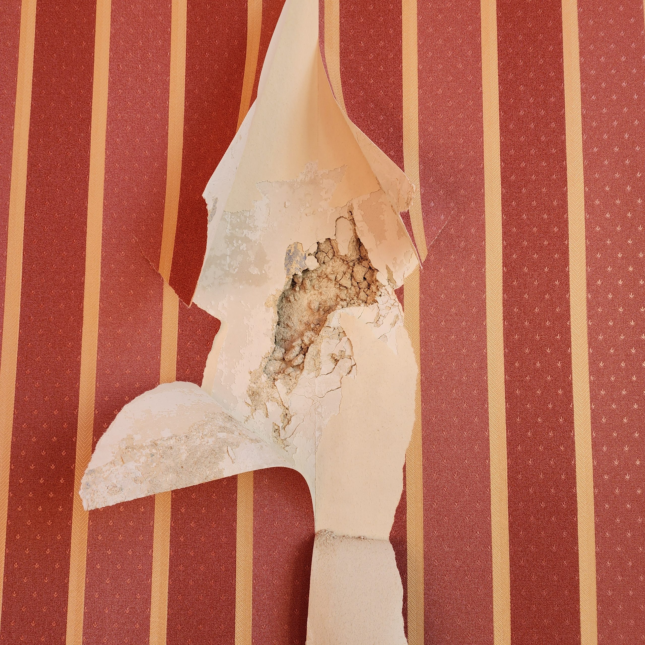 Beschädigte Tapete mit freigelegtem maroden Putz in einem Altbau – typisches Beispiel für Sanierungsbedarf beim Altbau renovieren in Leipzig